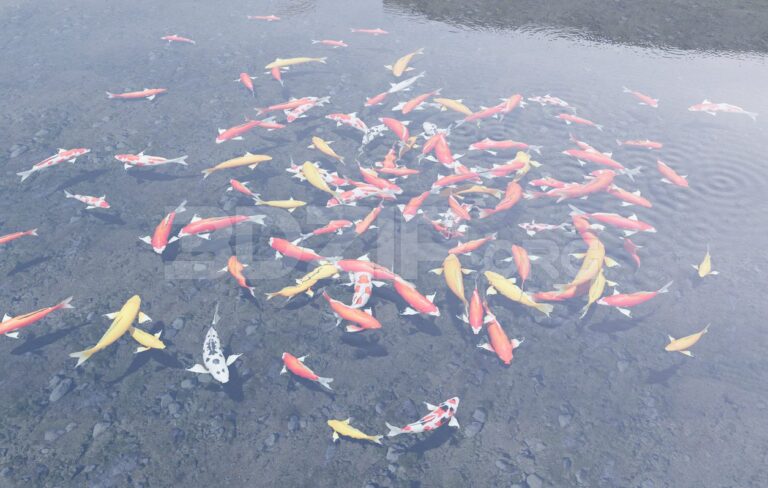 11294-3d-model-of-koi-aquarium-for-download