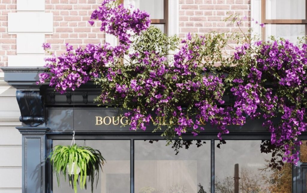 3d-exteriors-flora-store-model-3dsmax-free-download-by-thang-quach